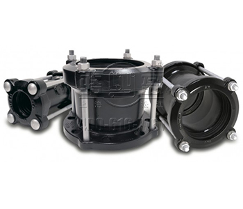 ��ī�T�F��s��