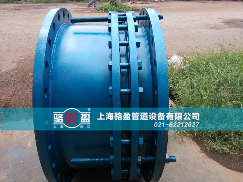 �T�F��s��չʾ